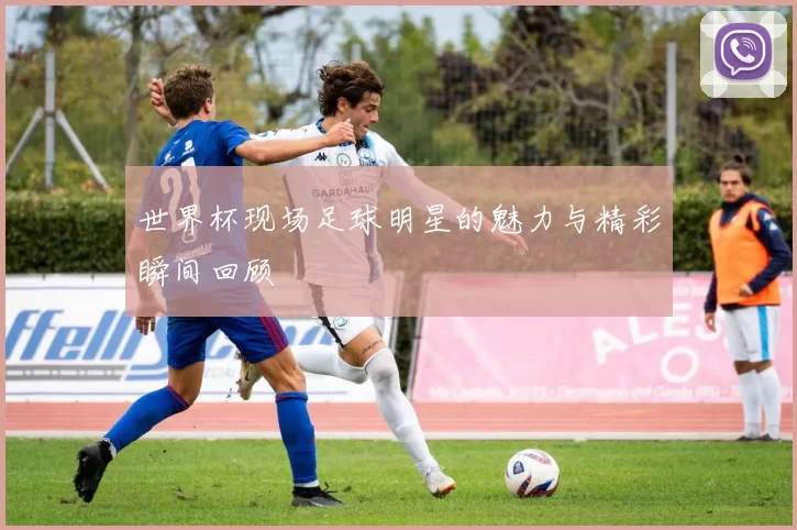 世界杯现场足球明星的魅力与精彩瞬间回顾