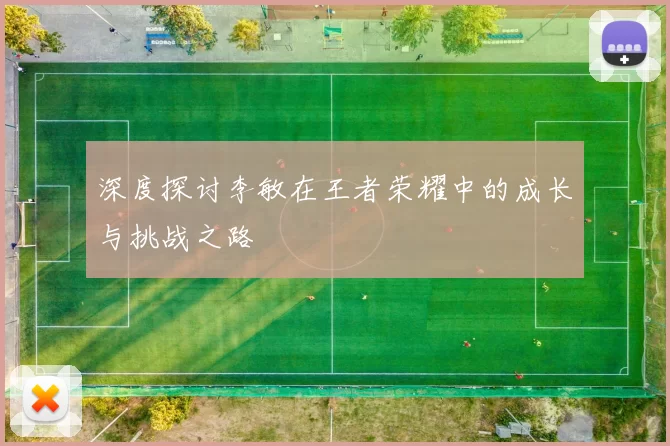 深度探讨李敏在王者荣耀中的成长与挑战之路