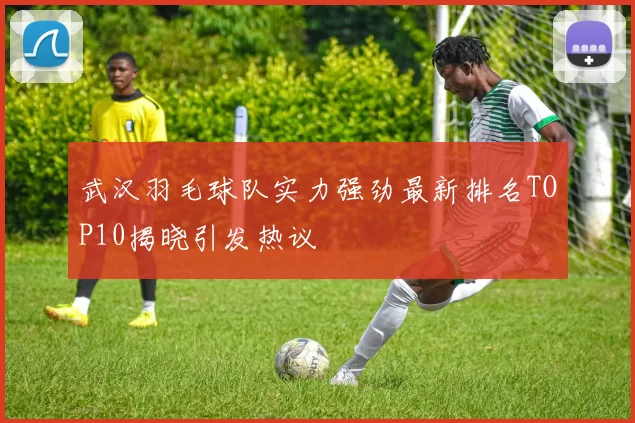 武汉羽毛球队实力强劲最新排名TOP10揭晓引发热议