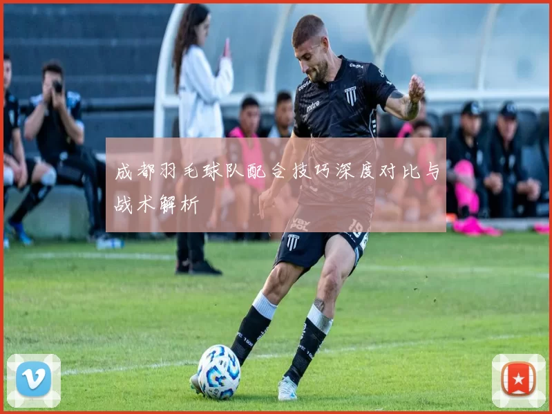 成都羽毛球队配合技巧深度对比与战术解析
