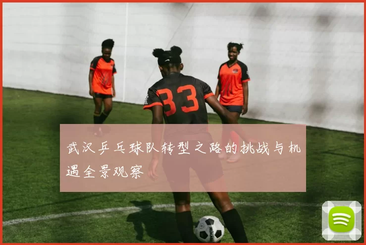 武汉乒乓球队转型之路的挑战与机遇全景观察