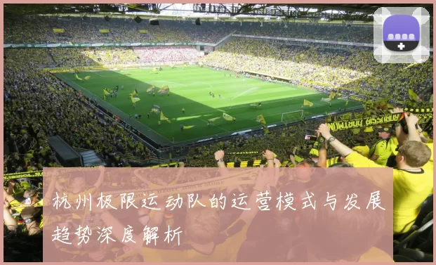 杭州极限运动队的运营模式与发展趋势深度解析