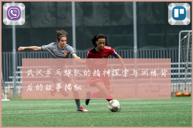 武汉乒乓球队的精神探索与训练背后的故事揭秘