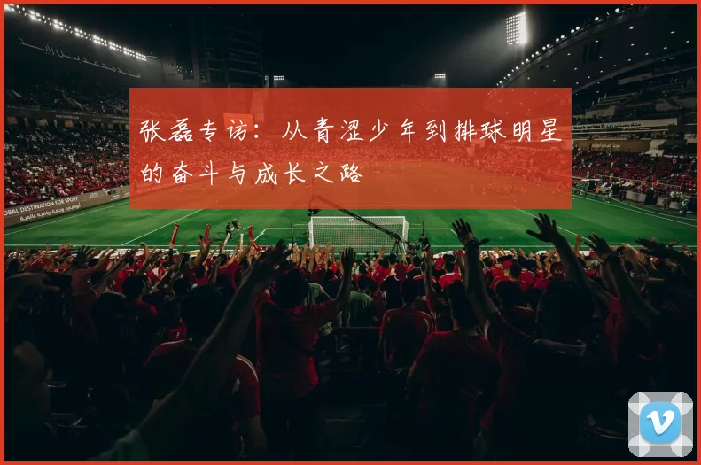 张磊专访：从青涩少年到排球明星的奋斗与成长之路