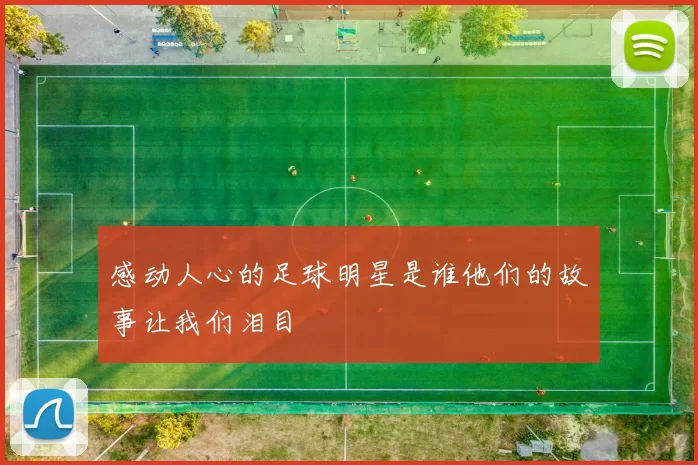 感动人心的足球明星是谁他们的故事让我们泪目