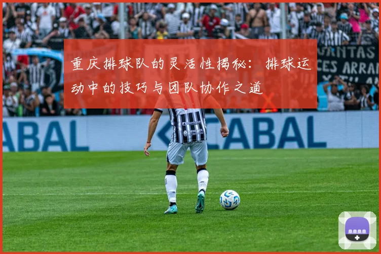 重庆排球队的灵活性揭秘：排球运动中的技巧与团队协作之道