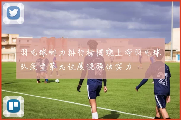 羽毛球耐力排行榜揭晓上海羽毛球队荣登第九位展现强劲实力