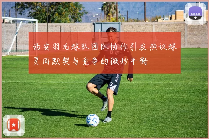 西安羽毛球队团队协作引发热议球员间默契与竞争的微妙平衡