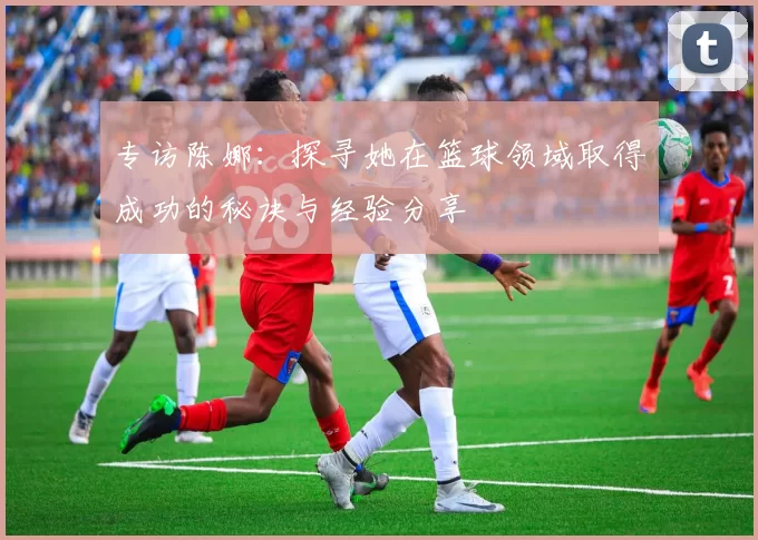专访陈娜：探寻她在篮球领域取得成功的秘诀与经验分享