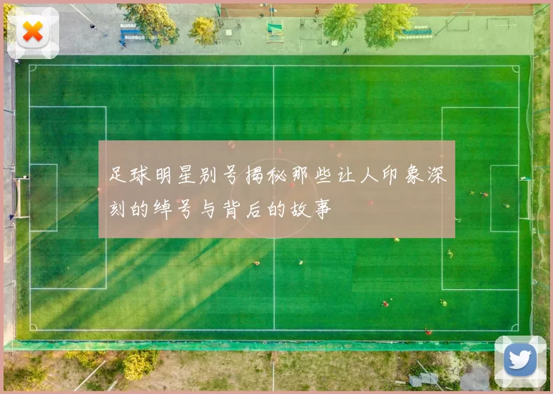 足球明星别号揭秘那些让人印象深刻的绰号与背后的故事