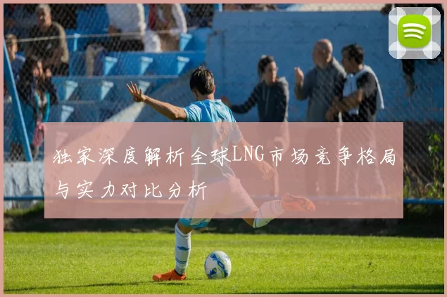 独家深度解析全球LNG市场竞争格局与实力对比分析