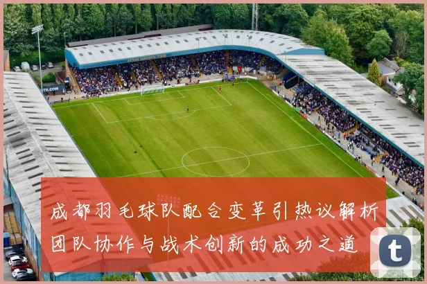 成都羽毛球队配合变革引热议解析团队协作与战术创新的成功之道