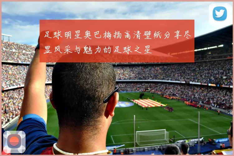 足球明星奥巴梅扬高清壁纸分享尽显风采与魅力的足球之星